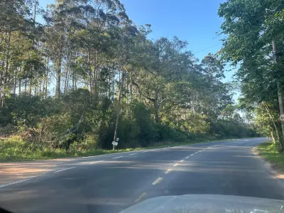 LOTE 001 - LOTE ENGLOBADO DE TODAS AS AREAS DO LEILÃO. Perfazendo o total das áreas 324.774,30m² . ESSE LOTE POSSUI A PREFERENCIA