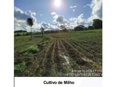 LOTE 001 - UMA FAZENDA EM GOIAS COM 43,2048 HECTARES EM SÃO LUIS DE MONTES BELOS