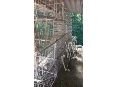 LOTE 000 - Maquinas de costura e gaiolas