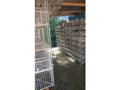 LOTE 000 - Maquinas de costura e gaiolas