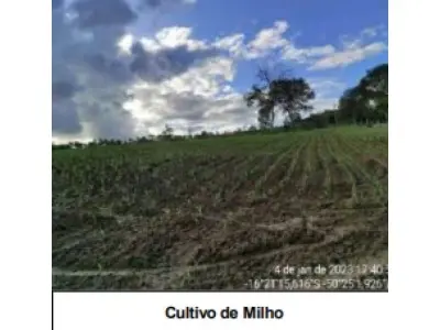 LOTE 001 - UMA FAZENDA EM GOIAS COM 43,2048 HECTARES EM SÃO LUIS DE MONTES BELOS