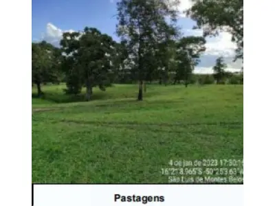 LOTE 001 - UMA FAZENDA EM GOIAS COM 43,2048 HECTARES EM SÃO LUIS DE MONTES BELOS