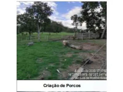LOTE 001 - UMA FAZENDA EM GOIAS COM 43,2048 HECTARES EM SÃO LUIS DE MONTES BELOS