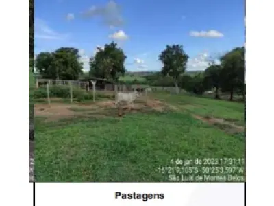 LOTE 001 - UMA FAZENDA EM GOIAS COM 43,2048 HECTARES EM SÃO LUIS DE MONTES BELOS
