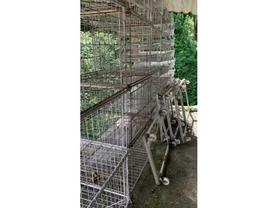 LOTE 000 - Maquinas de costura e gaiolas