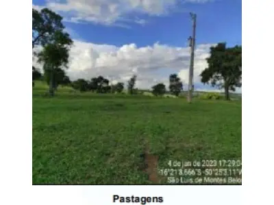 LOTE 001 - UMA FAZENDA EM GOIAS COM 43,2048 HECTARES EM SÃO LUIS DE MONTES BELOS
