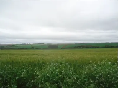 LOTE 000 - Uma fração de terras, sem benfeitorias, com a área superficial de 20.000,00 m², sita na RS 344, no lugar denominado Campos dos Carvalhos, no Município de Giruá