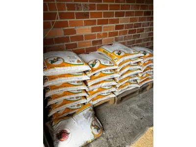 LOTE 001 - Loja agropecuária completa (toda a loja)