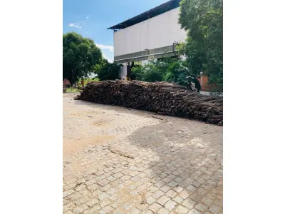 LOTE 023 - atrás derivados