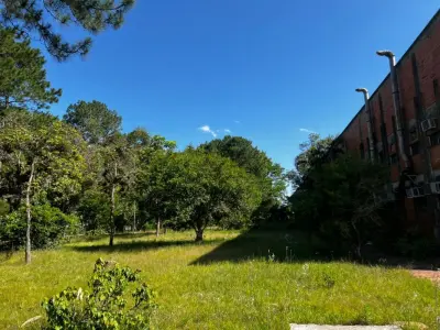 LOTE 001 - Uma área de terras com 39.353,50m² - Uma fração de terras, situada à margem da BR-116 com 77.925m²