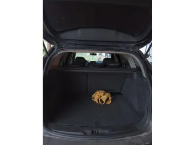 LOTE 000 - Renault/Meganegt DYN 20, fabricação/modelo 2007/2008