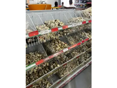 LOTE 002 - Lote englobado de todos os itens de ferragem