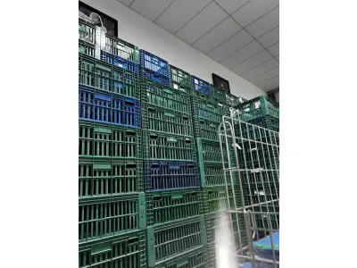 LOTE 003 - Lote de moveis, roupas