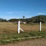 LOTE 001 - Imóvel 1