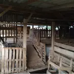 LOTE 001 - Imóvel 1