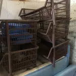 LOTE 100 - cestas plasticas