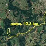 LOTE  - 18 HECTARES DE FLORESTA DE EUCALIPTO EM PÉ APROX 10 ANOS