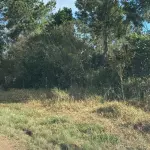 LOTE  - TERRENO NA ZONA URBANA DE ARARICÁ
