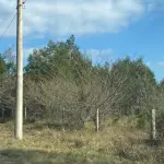 LOTE  - TERRENO NA ZONA URBANA DE ARARICÁ