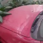 LOTE 1 - LOTE ENGLOBADO DE TODOS LOTES DO LEILÃO