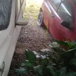 LOTE 1 - LOTE ENGLOBADO DE TODOS LOTES DO LEILÃO