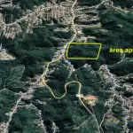 LOTE  - LEILÃO DE 2 ÁREAS 9HA  EM BRUSQUE/SC
