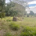 LOTE 001 - TERRENO QUADRA INTEIRA NO CENTRO PASSO FUNDO - 14.098M2