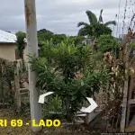 LOTE  - TERRENO 1.175m2 NO CENTRO DE NOVO HAMBURGO. VENDA PARCELADA 25% DE ENTRADA E SALDO EM 12X CORRIGIDOS PELA POUPANÇA