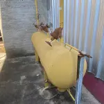 LOTE 001 - Imóvel e maquinas para laticínio