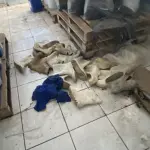 LOTE 062 - lote de botas usadas 