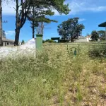 LOTE 1 - CACHOEIRA DO SUL - 5,5HA DE PLANTA INDUSTRIAL PARA GRÃOS NA BR