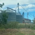 LOTE 1 - CACHOEIRA DO SUL - 5,5HA DE PLANTA INDUSTRIAL PARA GRÃOS NA BR