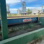 LOTE 1 - CACHOEIRA DO SUL - 5,5HA DE PLANTA INDUSTRIAL PARA GRÃOS NA BR