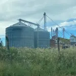 LOTE 1 - CACHOEIRA DO SUL - 5,5HA DE PLANTA INDUSTRIAL PARA GRÃOS NA BR