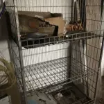 LOTE 539 - Carrinho de prateleira 