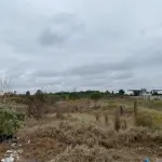 LOTE 001 - GRANDE TERRENO NA BERTO CIRIO -10.500 M2 EM CANOAS - DESOCUPADO - PRONTA ENTREGA