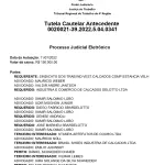 LOTE 000 - Maquinas de calçados
