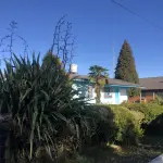 LOTE 001 - Uma área de terras c/20.000m²