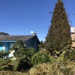 LOTE 001 - Uma área de terras c/20.000m²