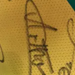 LOTE 001 - CAMPANHA DE DOAÇÃO - LEILÃO DE CAMISA DO JOGADOR TIAGO SILVA DA SELEÇÃO BRASILEIRA AUTOGRAFADA POR TODOS OS JOGADORES - CAMISA COM O LEILOEIRO A DISPOSIÇÃO PARA VISITAÇÃO - AJUDAR ESSA NOBRE CAUSA NÃO TEM PREÇO - PARA CADASTRO RÁPIDO CONTATE O LEILOEIRO 51.991165051