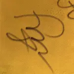 LOTE 001 - CAMPANHA DE DOAÇÃO - LEILÃO DE CAMISA DO JOGADOR TIAGO SILVA DA SELEÇÃO BRASILEIRA AUTOGRAFADA POR TODOS OS JOGADORES - CAMISA COM O LEILOEIRO A DISPOSIÇÃO PARA VISITAÇÃO - AJUDAR ESSA NOBRE CAUSA NÃO TEM PREÇO - PARA CADASTRO RÁPIDO CONTATE O LEILOEIRO 51.991165051