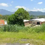 LOTE 001 - GRANDE PAVILHAO EM TERRENO DE 39.000M2 FRENTE PARA BR 280 EM JARAGUA DO SUL SC