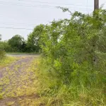 LOTE 000 - IMÓVEL GRANDE C. ÁREA 46.000M2 – 2 FRENTES PARA ESTRADAS ASFALTADAS NA ZONA INDUSTRIAL DE TRIUNFO