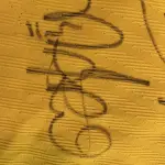 LOTE 001 - CAMPANHA DE DOAÇÃO - LEILÃO DE CAMISA DO JOGADOR TIAGO SILVA DA SELEÇÃO BRASILEIRA AUTOGRAFADA POR TODOS OS JOGADORES - CAMISA COM O LEILOEIRO A DISPOSIÇÃO PARA VISITAÇÃO - AJUDAR ESSA NOBRE CAUSA NÃO TEM PREÇO - PARA CADASTRO RÁPIDO CONTATE O LEILOEIRO 51.991165051