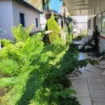LOTE 000 - Imóvel e pavilhões frente para a VRS 843, cidade de Imigrantes/RS, com área de 16.545,50m2