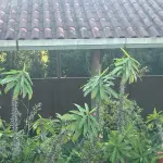 LOTE 001 - POUSADA E CASA DE FESTAS DE LUXO EM 58HA - LINHA NOVA SODER EM SANTA CRUZ DO SUL