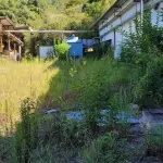 LOTE 000 - Imóvel e pavilhões frente para a VRS 843, cidade de Imigrantes/RS, com área de 16.545,50m2