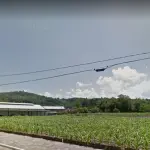 LOTE 001 - O complexo industrial na R. Guilherme Sander, KM-21, nº 4655, RS-115
