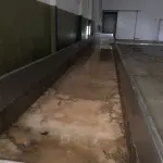 LOTE 000 - SILOS DE INOX – CALDEIRAS – TANQUES 100MIL L – BALANÇA RODOVIÁRIA – RESERVATÓRIO DE ÁGUA – UNO MILLE 95/96