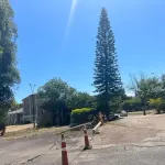 LOTE 001 - GRANDE IMÓVEL COM 46.624,57M2  PODENDO USAR 31.863,57m² NA RUA CEL JOAQUIM PEDRO SALGADO 80, PORTO ALEGRE (ver área aproveitavel)l)